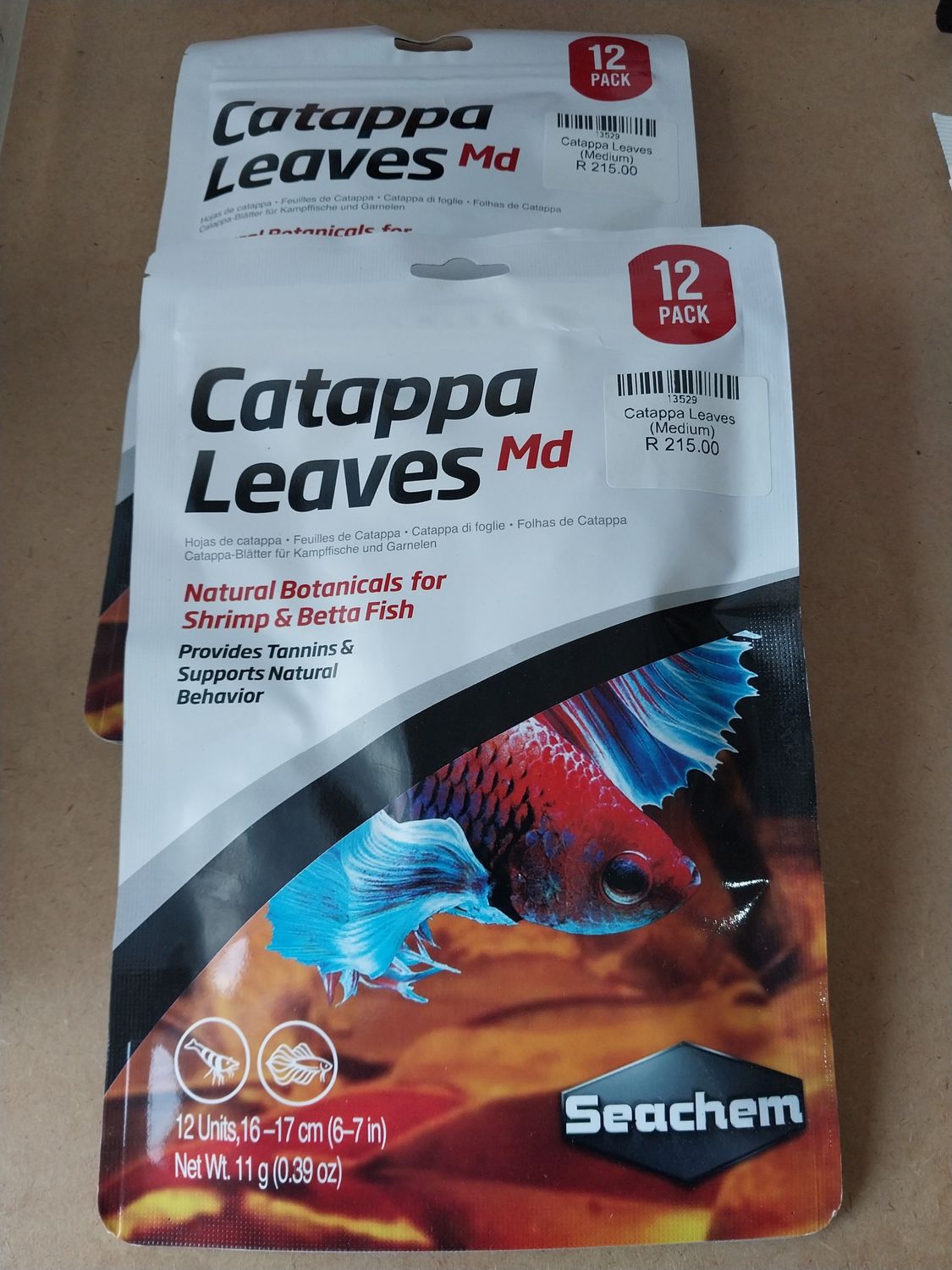 Catappa Leaves (Medium)