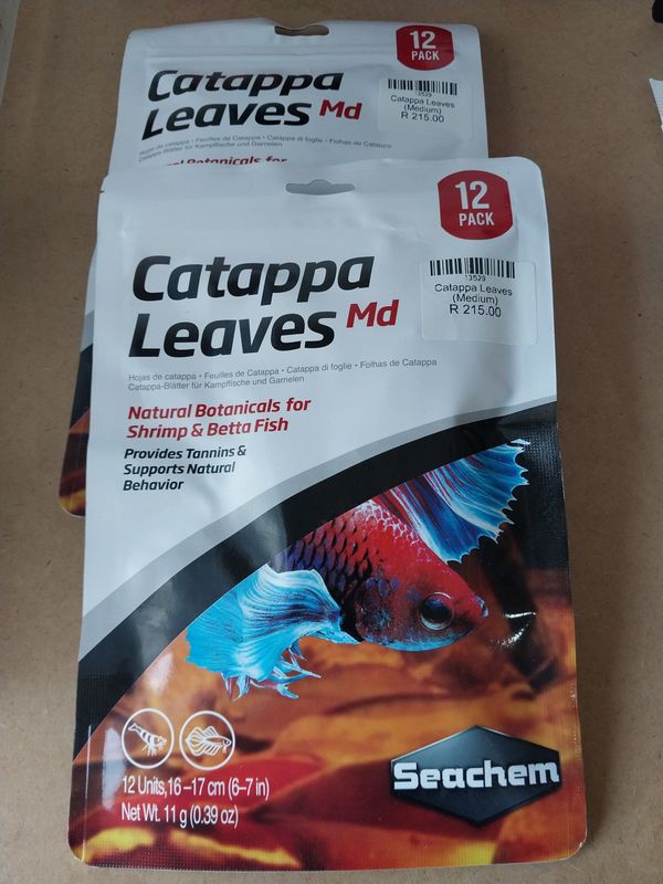 Catappa Leaves (Medium)