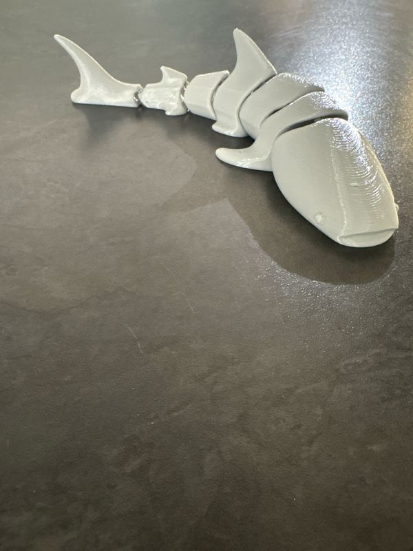 Shark Articulated