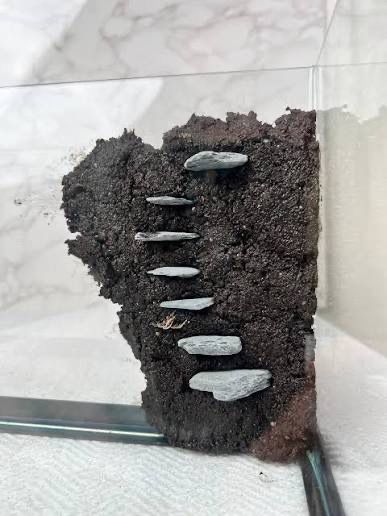 Terrarium Clay Wall Soil