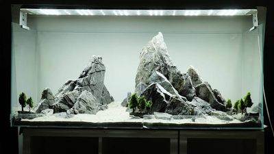 Hardscape &amp; Substrate