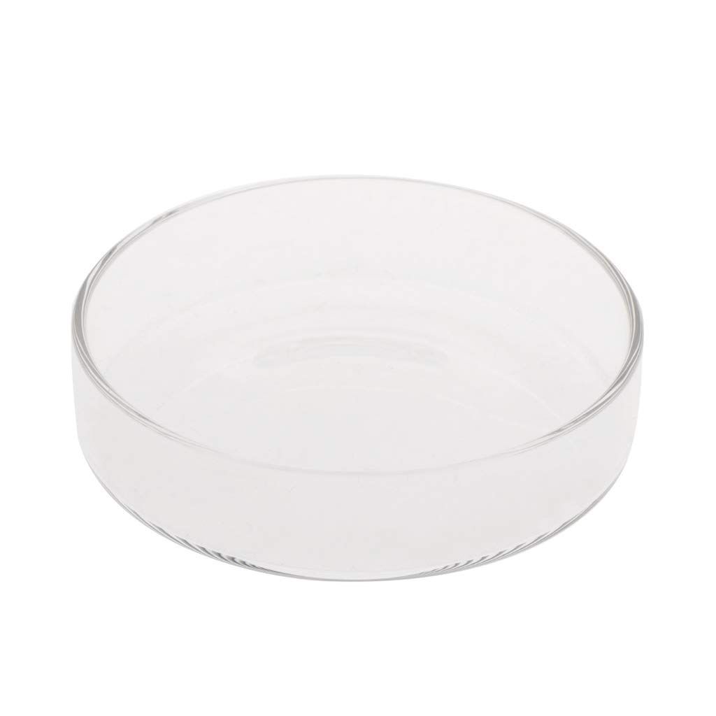 Glass Feeding dish (Small)