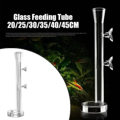 Shrimp Glass Feeding Tube