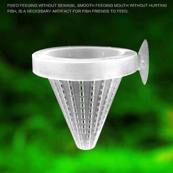 Worm Feeder