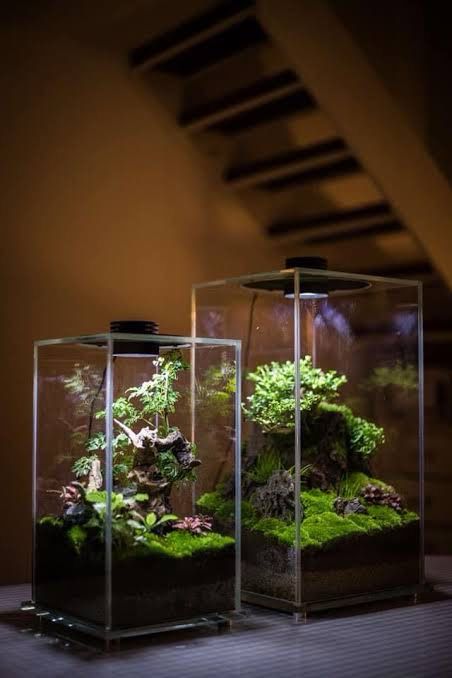 Bioloark FD200
