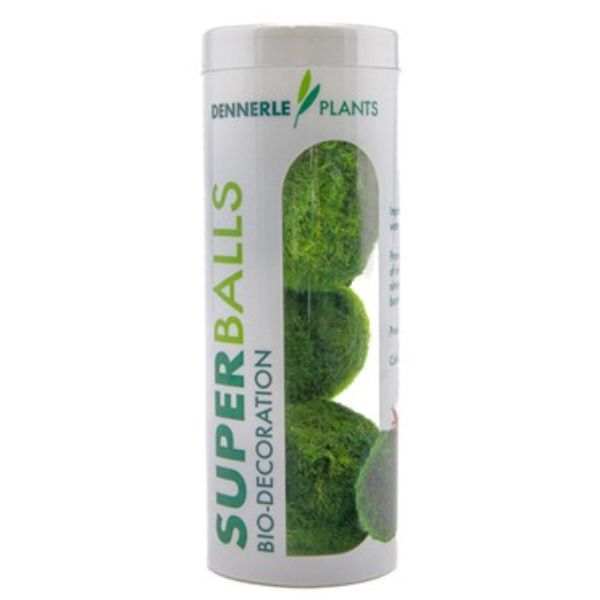 Superballs – Aegagropila linnaei (3‑Pack)