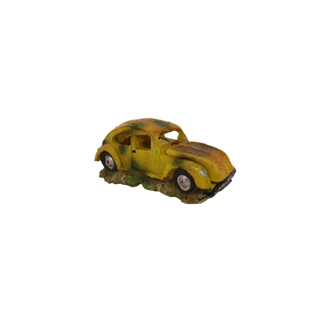 Beetle wreck