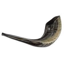 Shofar size 1 20-25cm
