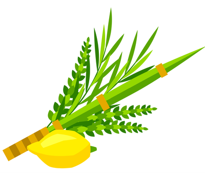 Sukkot &amp; Simchat Torah