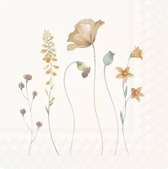 Serviettes Cristelle - Cream