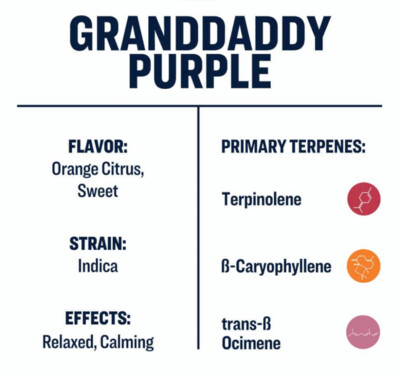 CBN Vape Disposable Uncut Granddaddy Purple 1mL Indica
