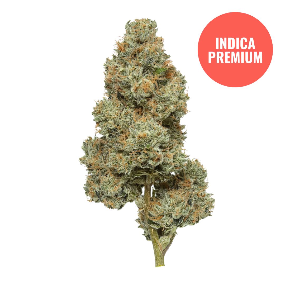 THCA Flower Premium Permanent Marker (Indica) THCA Flower Premium Permanent Marker (Indica)