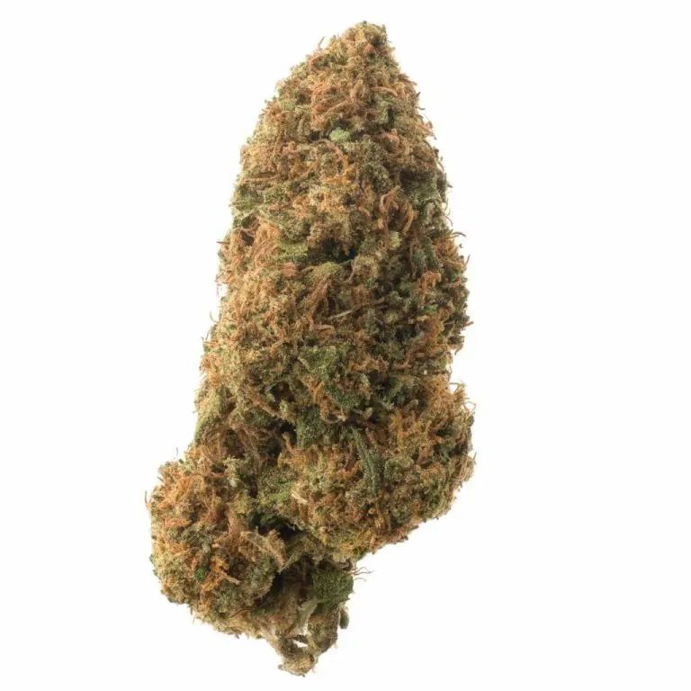 CBD Flower (H) Sour Lifter (Save 50%) CBD Flower (H) Sour Lifter (Save 50%)