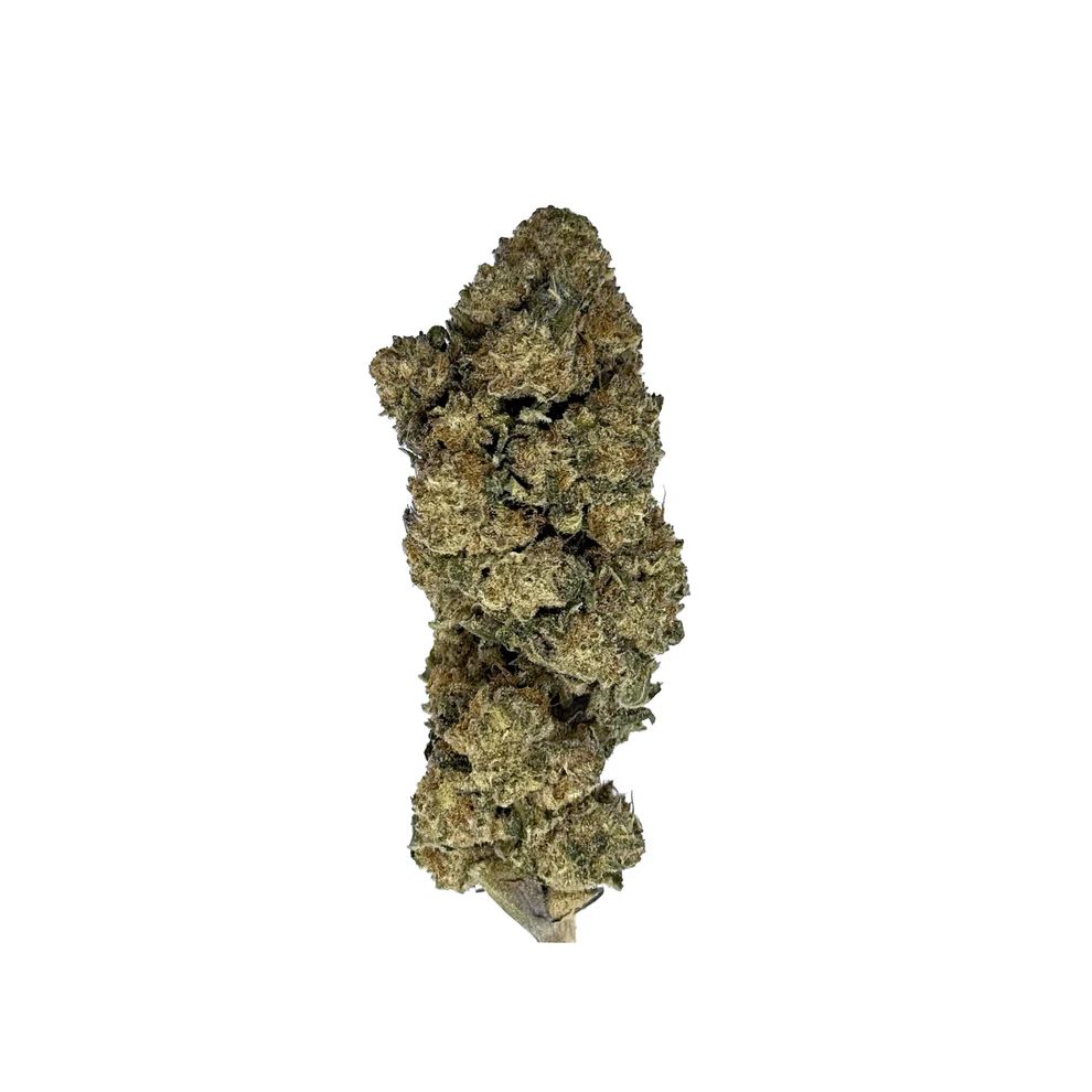 THCA Flower Exotic Sundae Gelato (Hybrid)