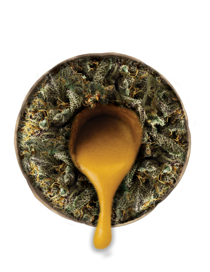 THCA Premium Diamond Coated Rosin Infused Pre-Rolls 2.5G, Strain: Alaskan Thndrfvk (S)