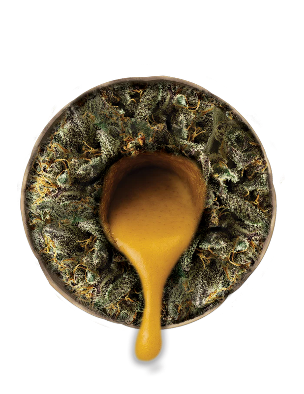 THCA Pre-Rolls infused with THCA Hash Rosin  2.25G Donuts &quot;Close-out&quot;