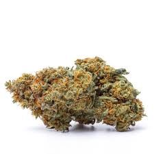 THCA Flower Exotic Governmint Oasis (S) Private Reserve