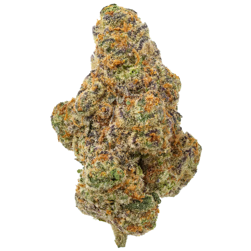 THCA Flower Premium Glitter Bomb (H/I)