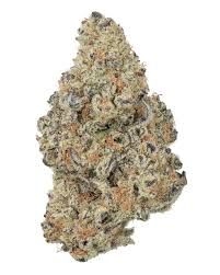 THCA Premium Flower Dante's Inferno THCA Premium Flower Dante's Inferno