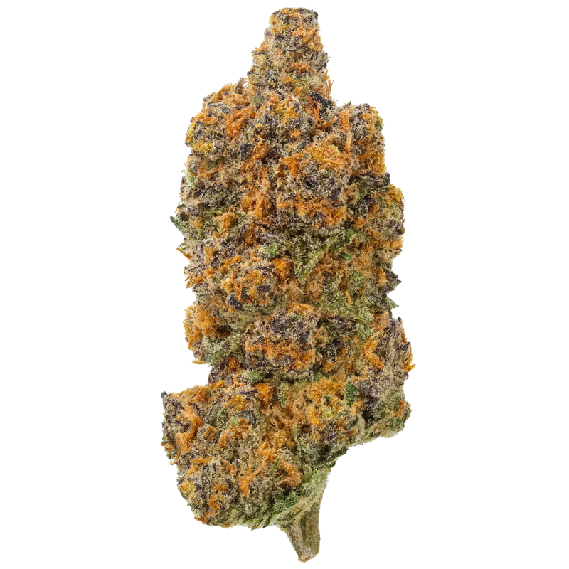 Premium THCA Flower Sundae Gelato (H)