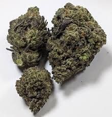 Guccizz Luxury High THCA Flower Cuban Black Haze (S)