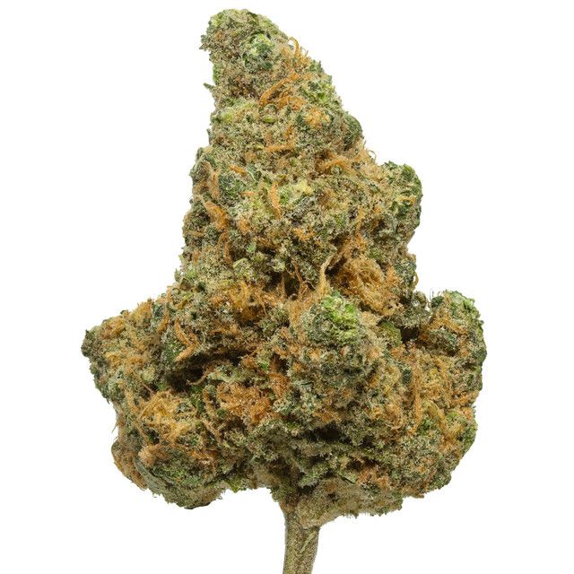 Premium High THCA Flower (S/H) Blue Dream 25.85% THCA