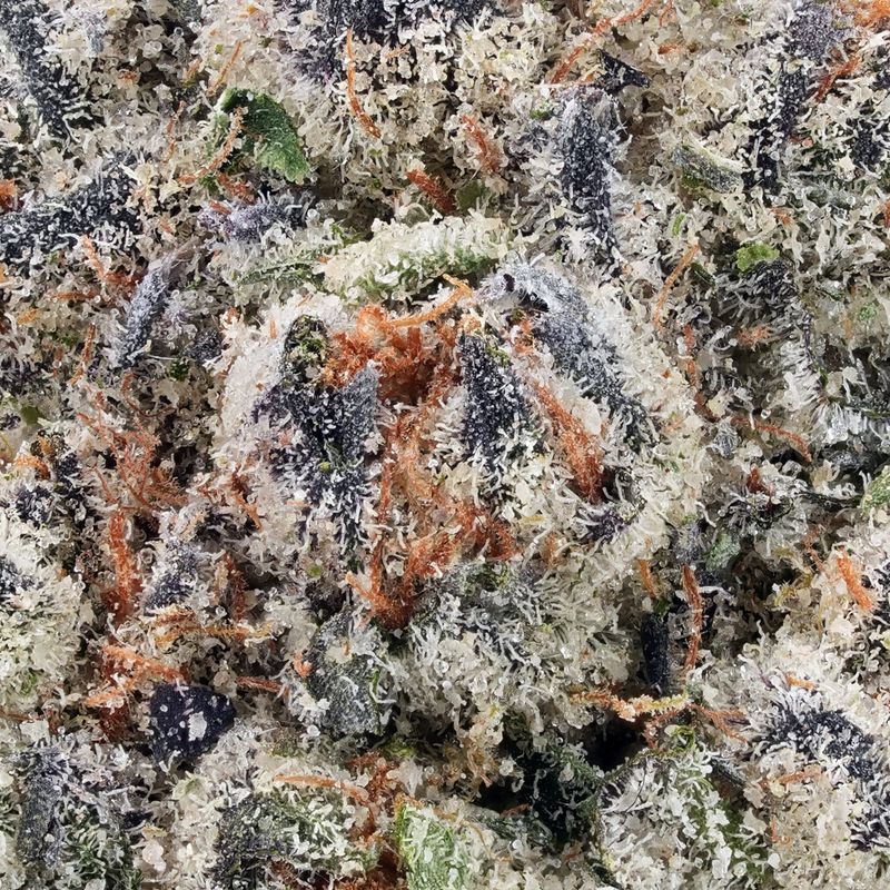 Premium High THCA Flower Green Crack (S) 25.59% THCA