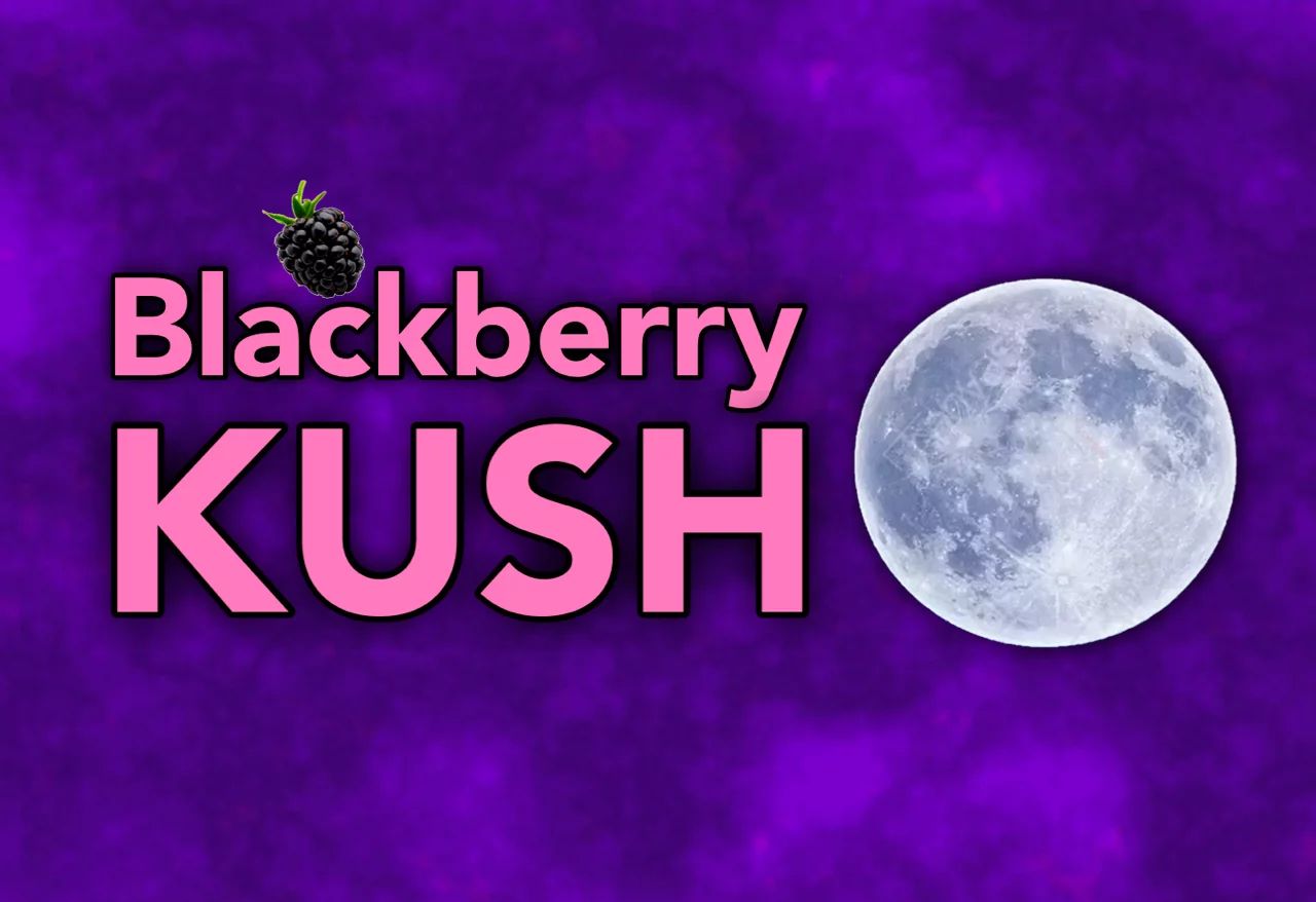 DROP SHIP: iDelta 8 Disposable Pen Diamond 2mL, Terpene Strain: Blackberry Kush (I)