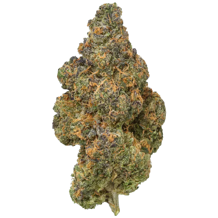 Premium THCA Flower Black Maple (H) 27.2% THCA