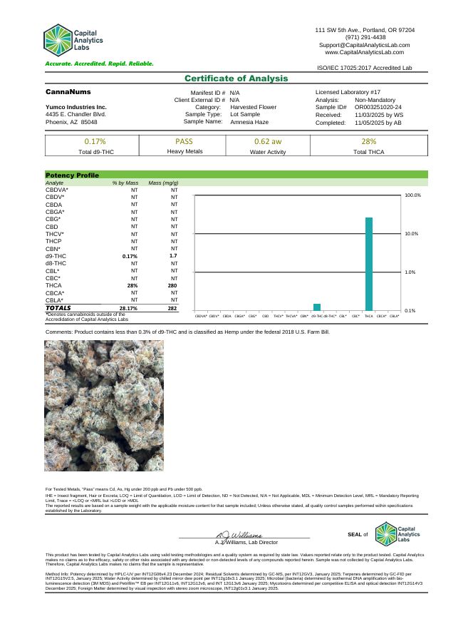 Loudstash High THCA Flower Assorted Strains 28G Loudstash High THCA Flower Assorted Strains 28G, Size: Amnesia Haze (S)