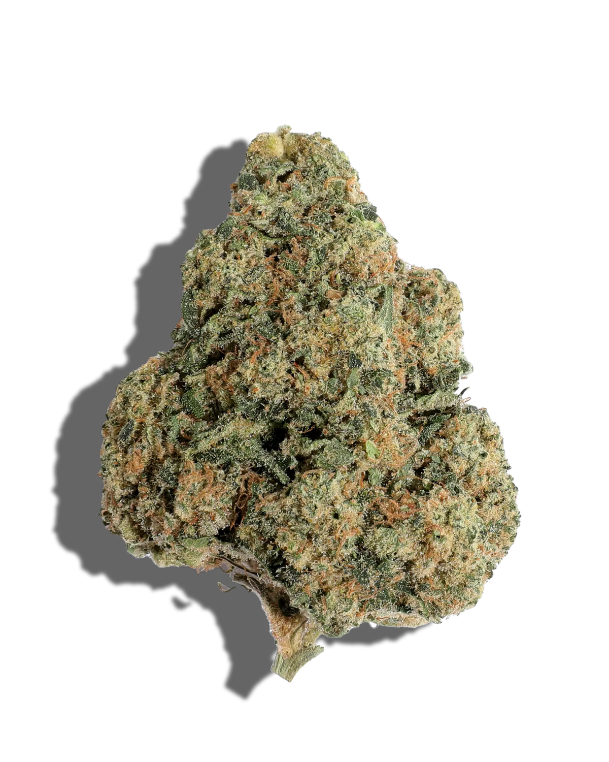 Guccizz Luxury High THCA FLower Chem Fuego (I)