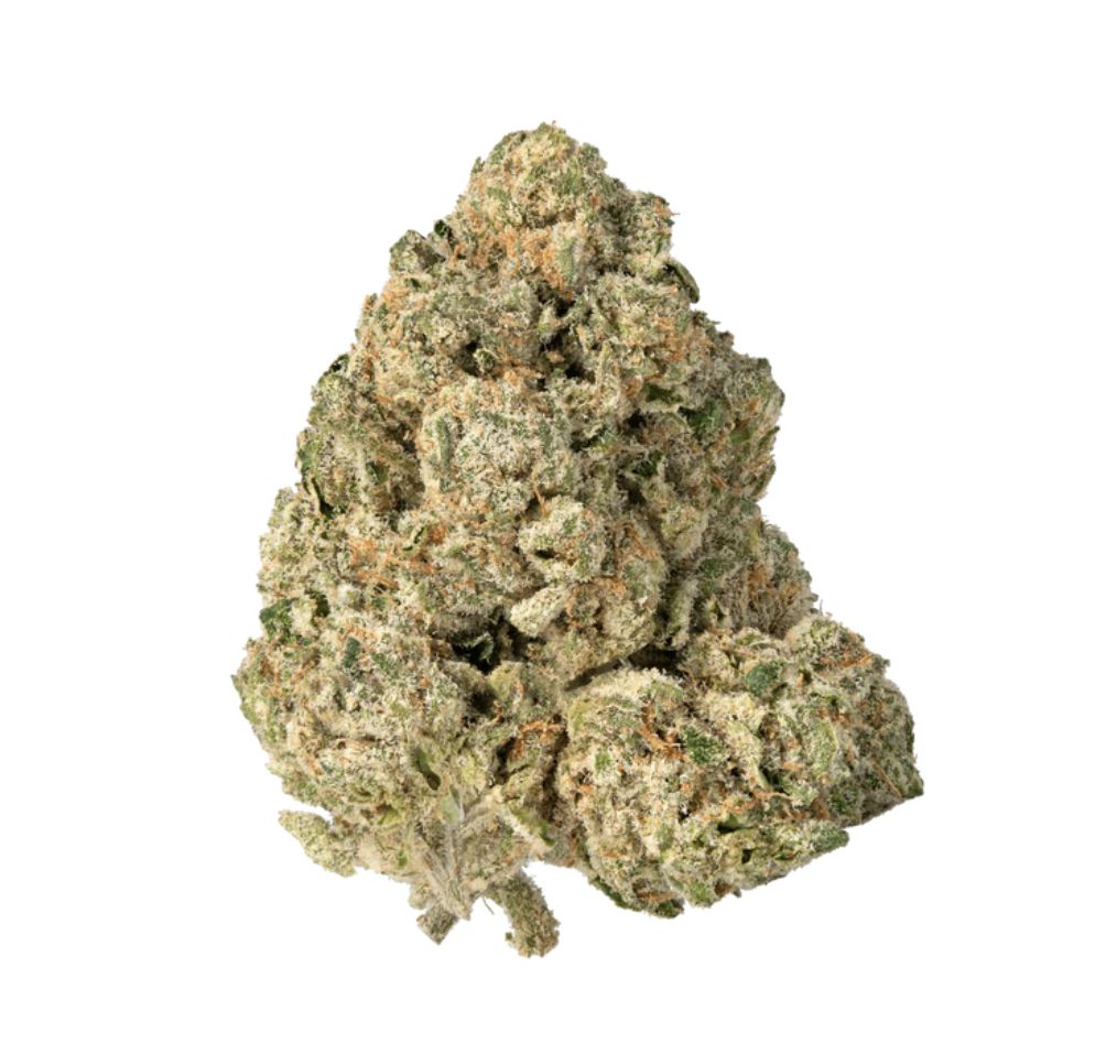 Guccizz Luxury High THCA Flower White Cherry OG (H/S)