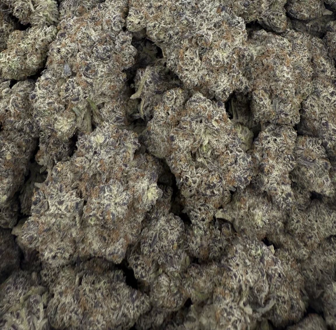 Exotic THCA Flower (I) Black Truffle