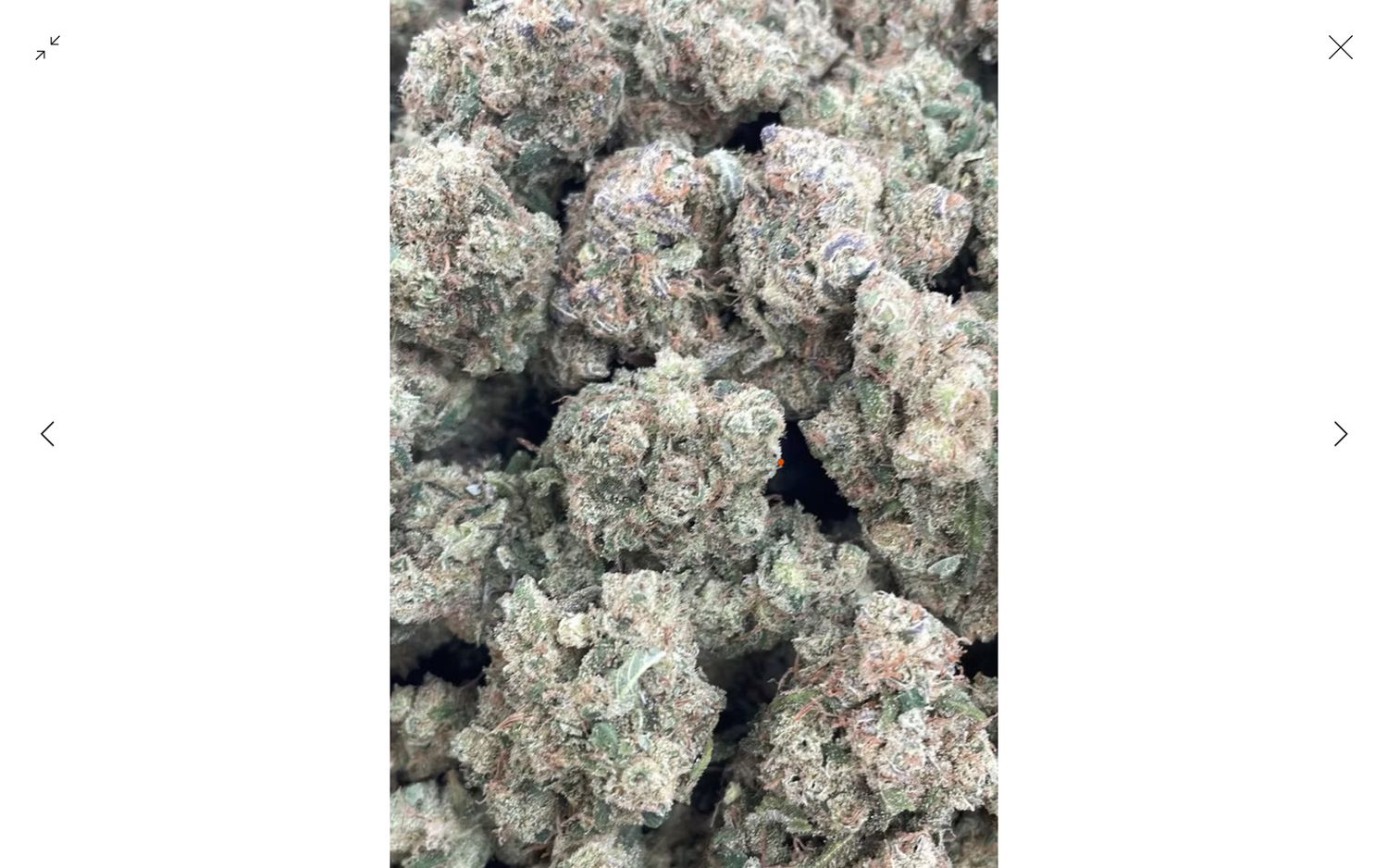 Guccizz Luxury High THCA Flower (S) Chernobyl Guccizz Luxury High THCA Flower (S) Chernobyl