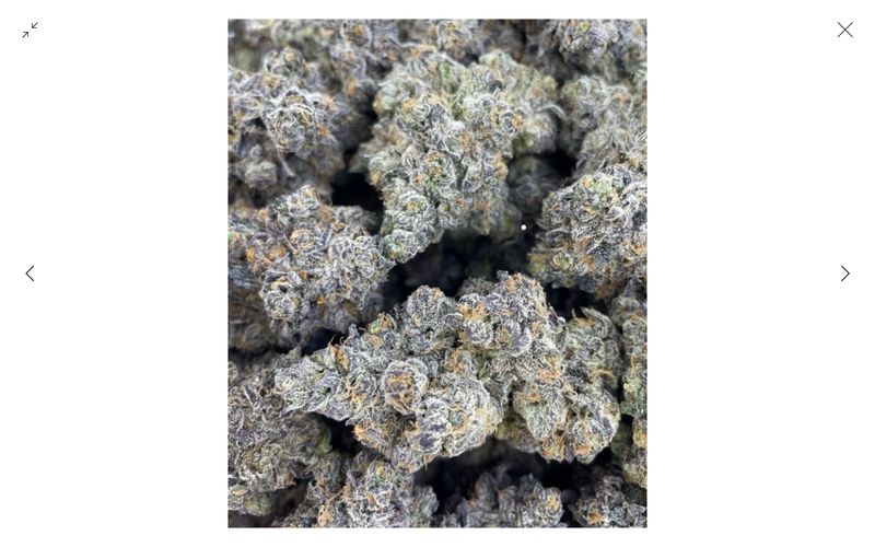 Guccizz Luxury High THCA Flower (I) Breakfast Toast