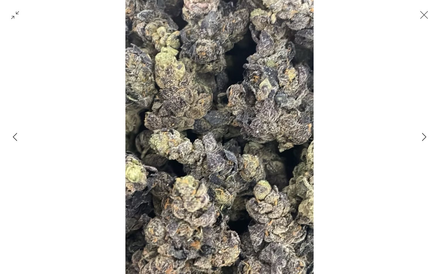 Guccizz Luxury High THCA Flower (S) Guava Haze Guccizz Luxury High THCA Flower (S) Guava Haze