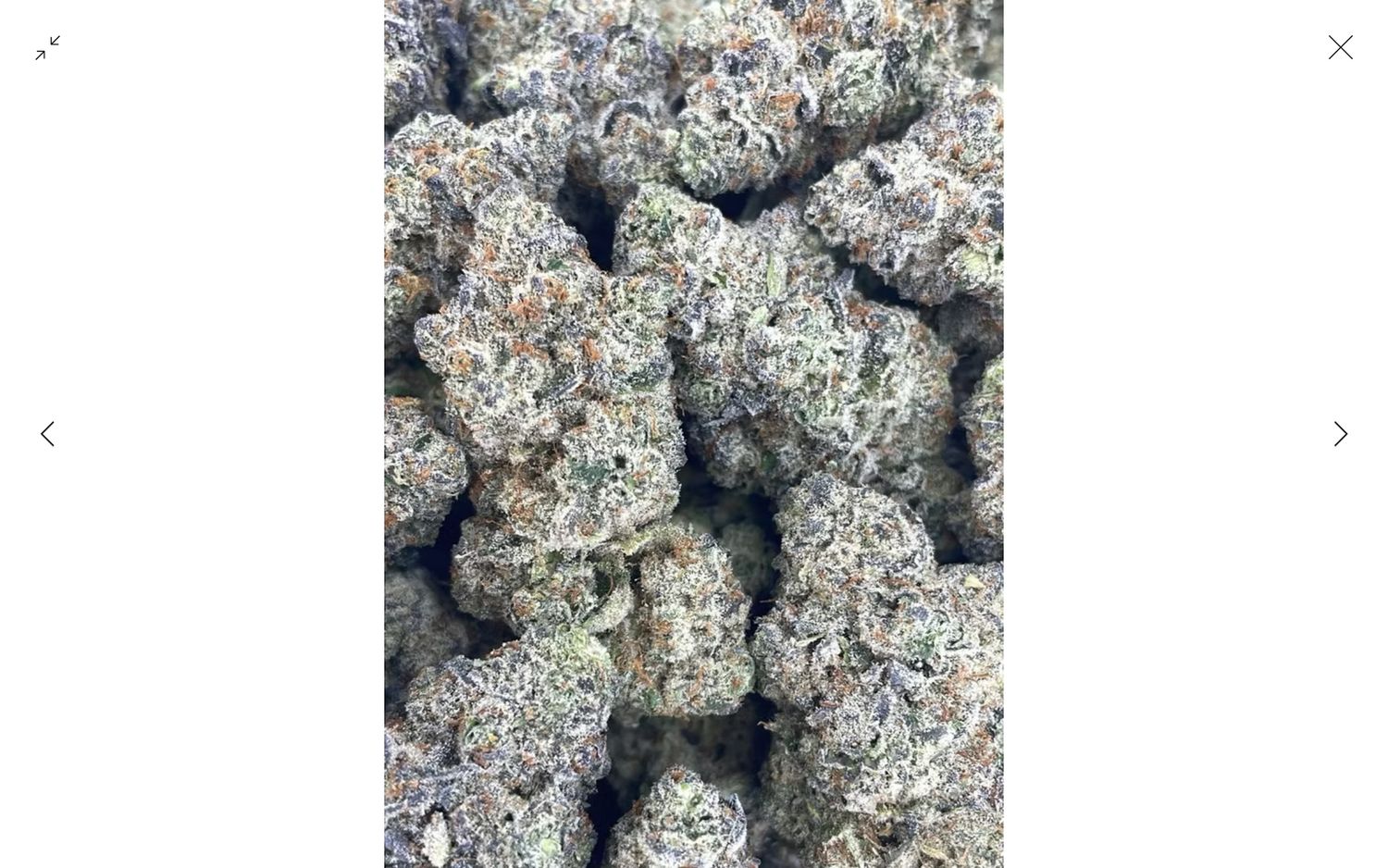 Guccizz Luxury High THCA Flower (H) Grape Durbz Guccizz Luxury High THCA Flower (H) Grape Durbz