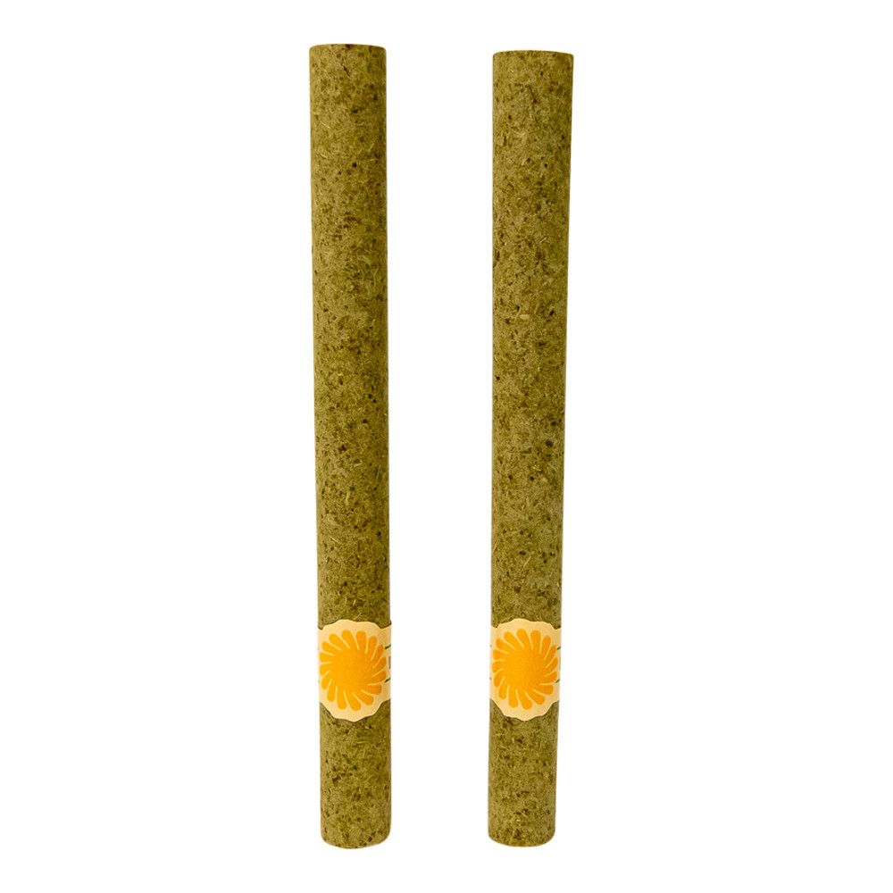 DaySavers Half Gram 1 1/4 Green Hybrid Hemp Blunt Wrap w/ Spiral Filter Tips 10/pk *Online Only