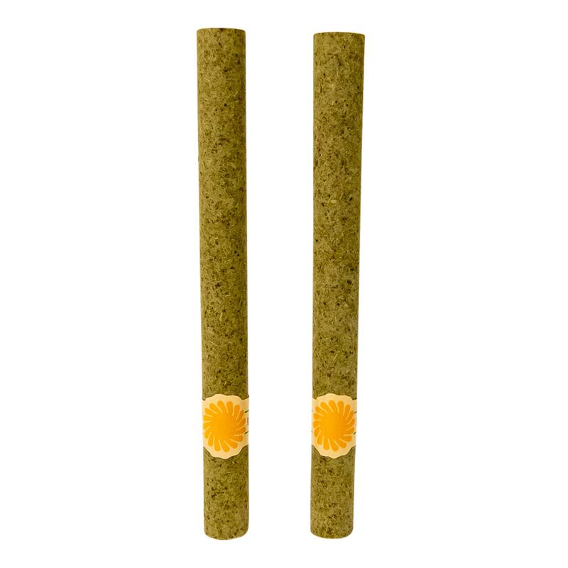 DaySavers Half Gram 1 1/4 Green Hybrid Hemp Blunt Wrap w/ Spiral Filter Tips 10/pk *Online Only