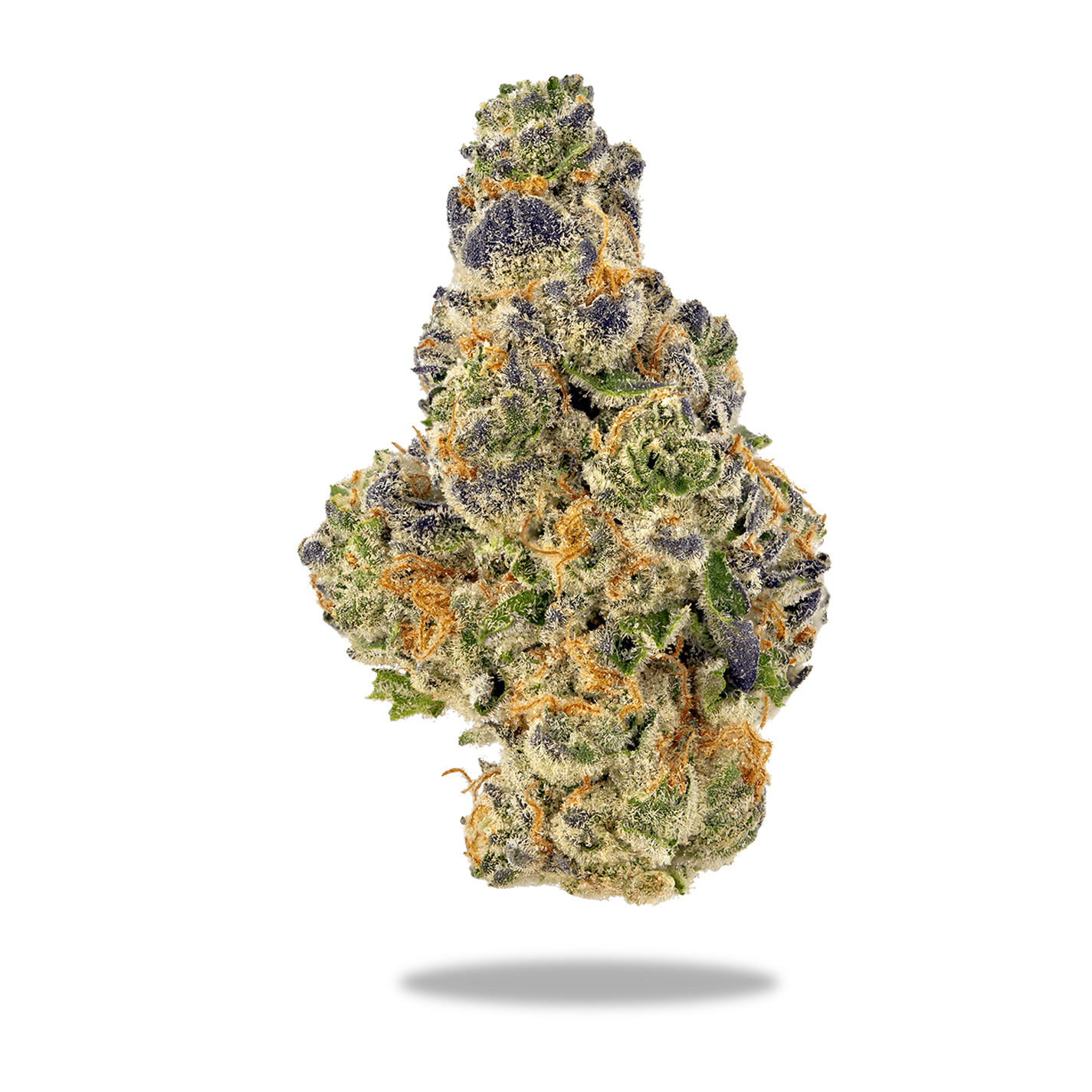 Boutique Exotic THCA Flower (H/I) Purple Rhino