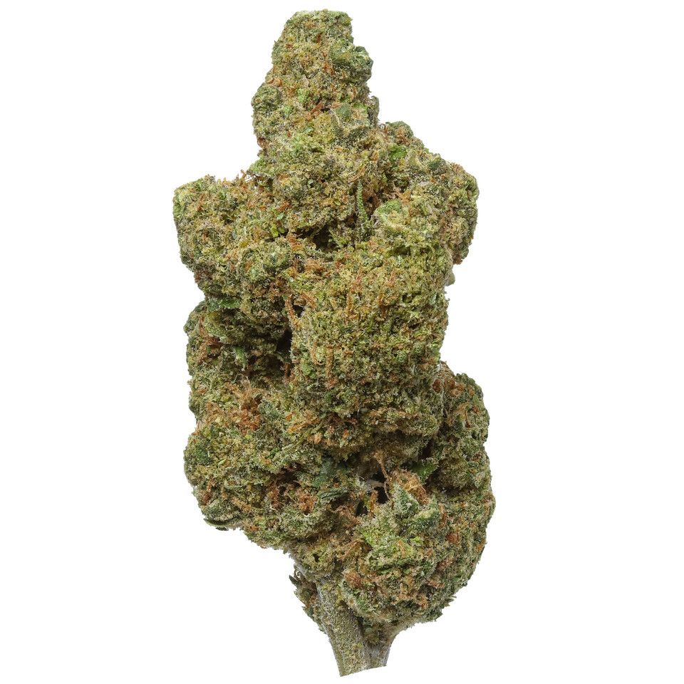 Premium High THCA Flower Durban Poison (S) 24.46% THCA