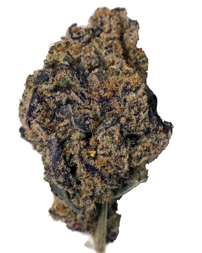 Boutique AAA Exotic THCA Flower 3.5G