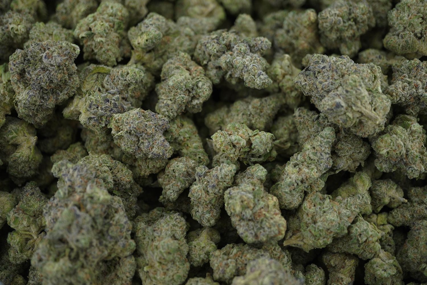 PRE-ORDER: AAA Exotic THCA Flower (S) Mango Mentality 28G (Case of 6)