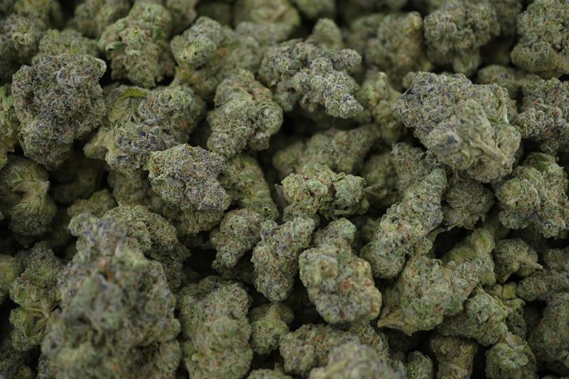 PRE-ORDER: AAA Exotic THCA Flower (S) Mango Mentality 28G (Case of 6)