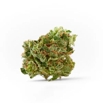 Boutique Exotic THCA Flower (I) Mochi