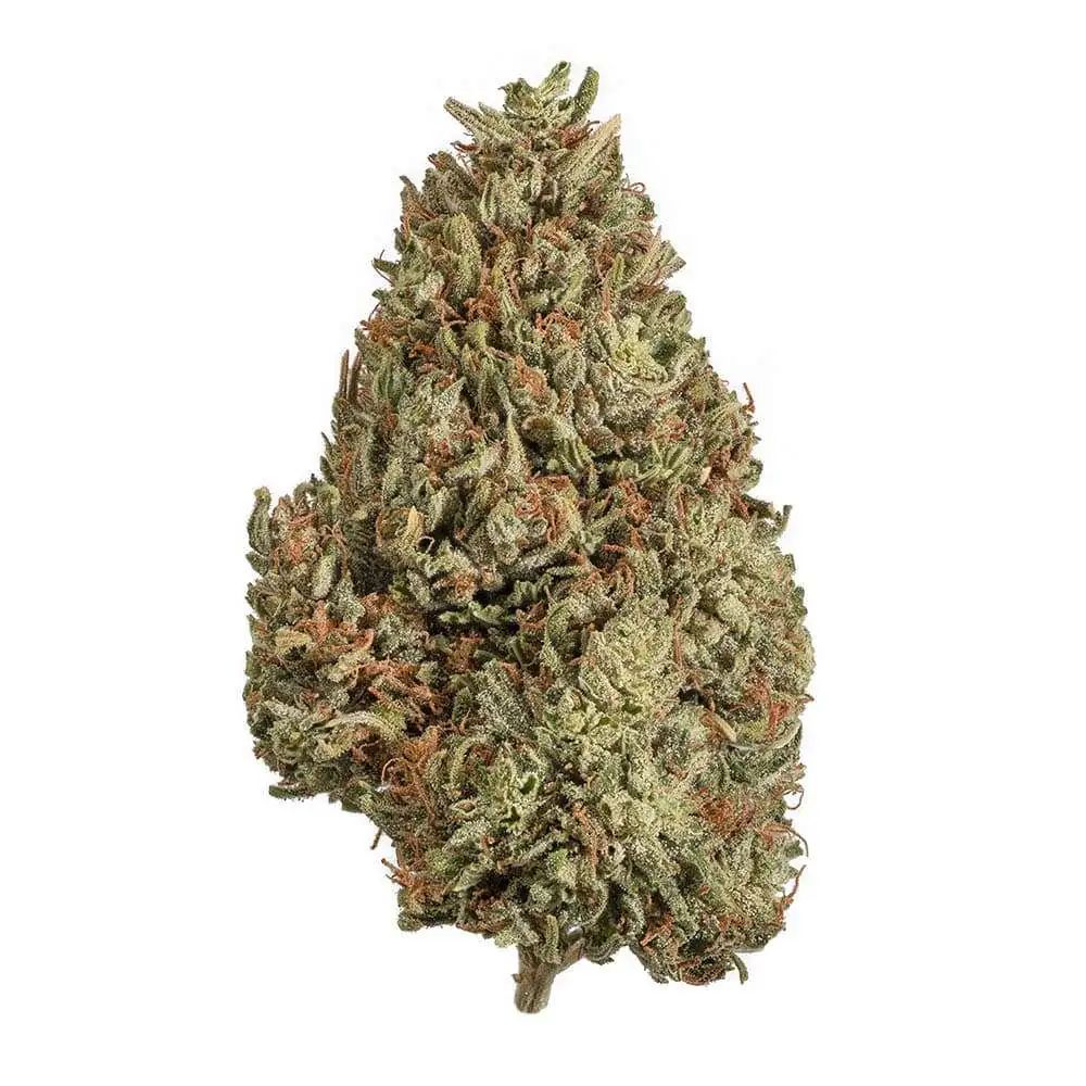 CBG Flower (H) (Total THC Compliant) CBG Flower (H) (Total THC Compliant)