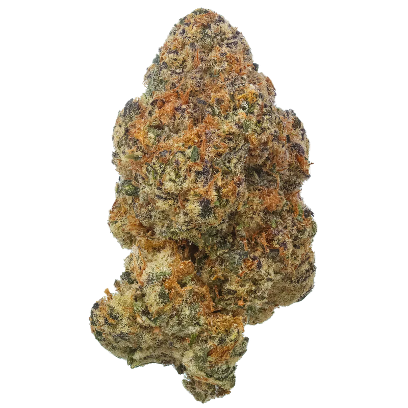 Premium High THCA Flower (H/I) Black Baccara