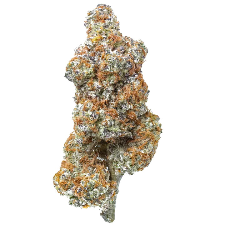 Premium High THCA Flower (H) Pablos Pineapple