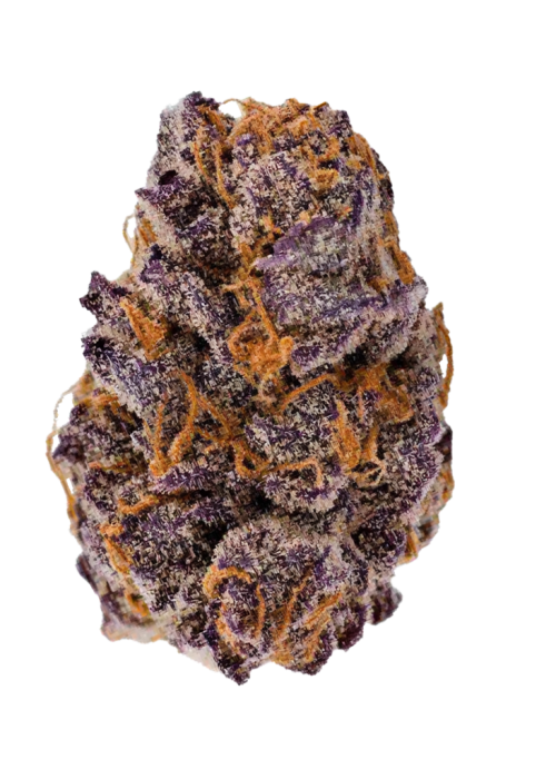 AAA Exotic THCA Flower - Lemon Cherry Cookies (S)