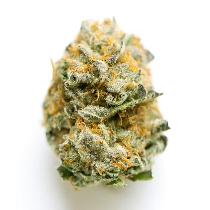 AAA Exotic THCA Flower - Jet Fuel Gelato (H)
